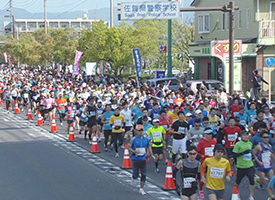 さが桜マラソン